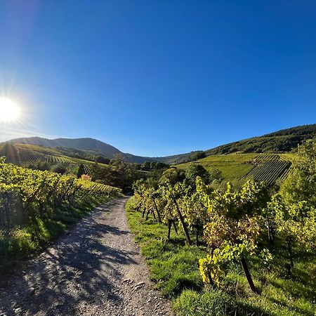 Chambre Du Vigneron - Domaine Leon Bleesz Reichsfeld 외부 사진
