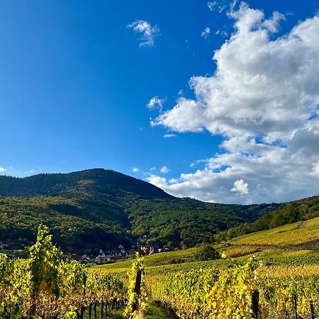 Chambre Du Vigneron - Domaine Leon Bleesz Reichsfeld 외부 사진