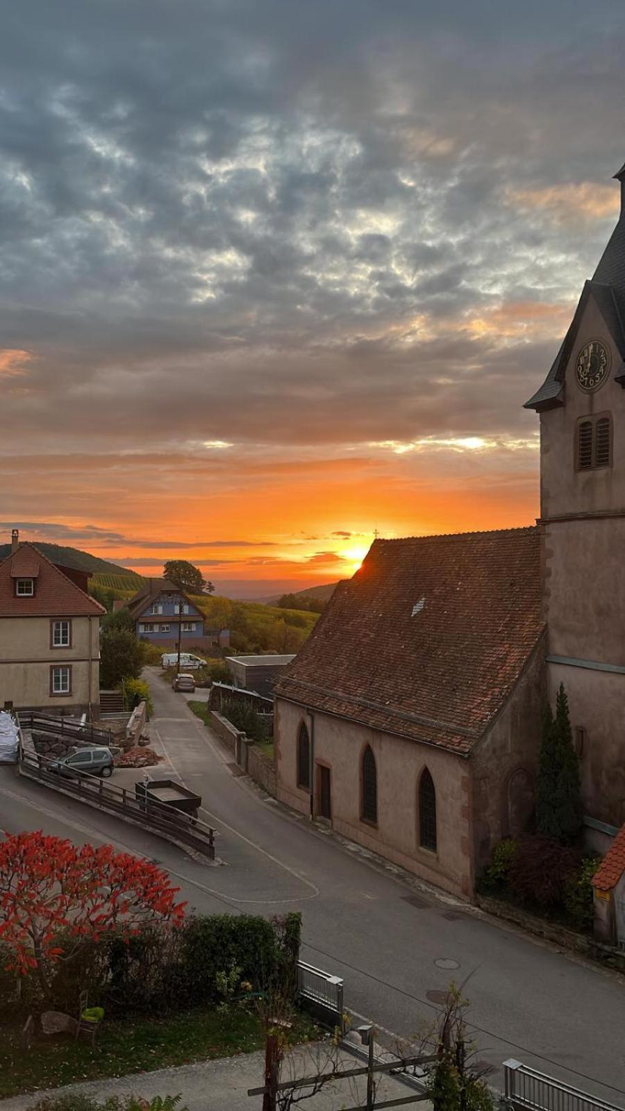 Chambre Du Vigneron - Domaine Leon Bleesz Reichsfeld 외부 사진