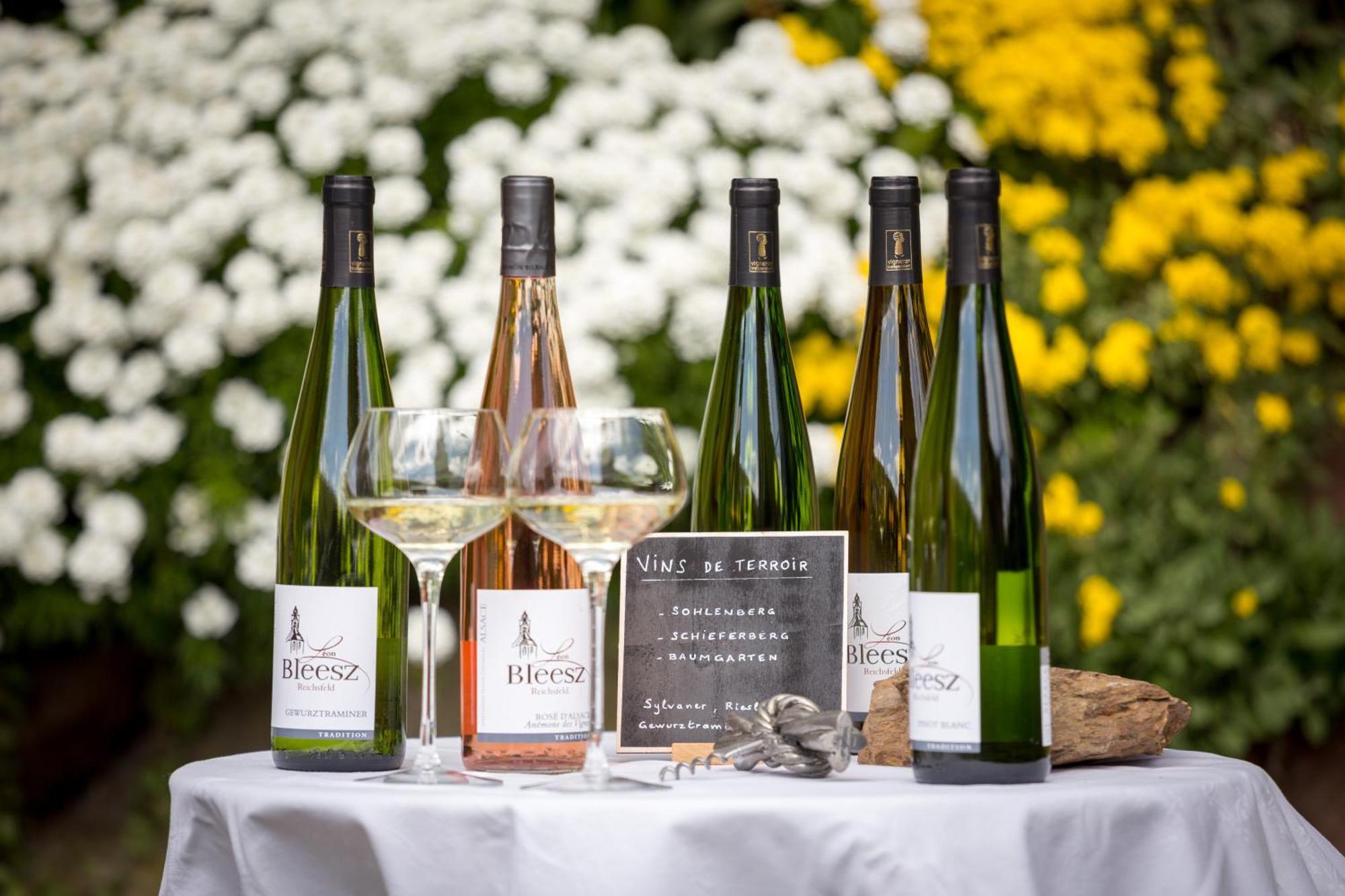Chambre Du Vigneron - Domaine Leon Bleesz Reichsfeld 외부 사진
