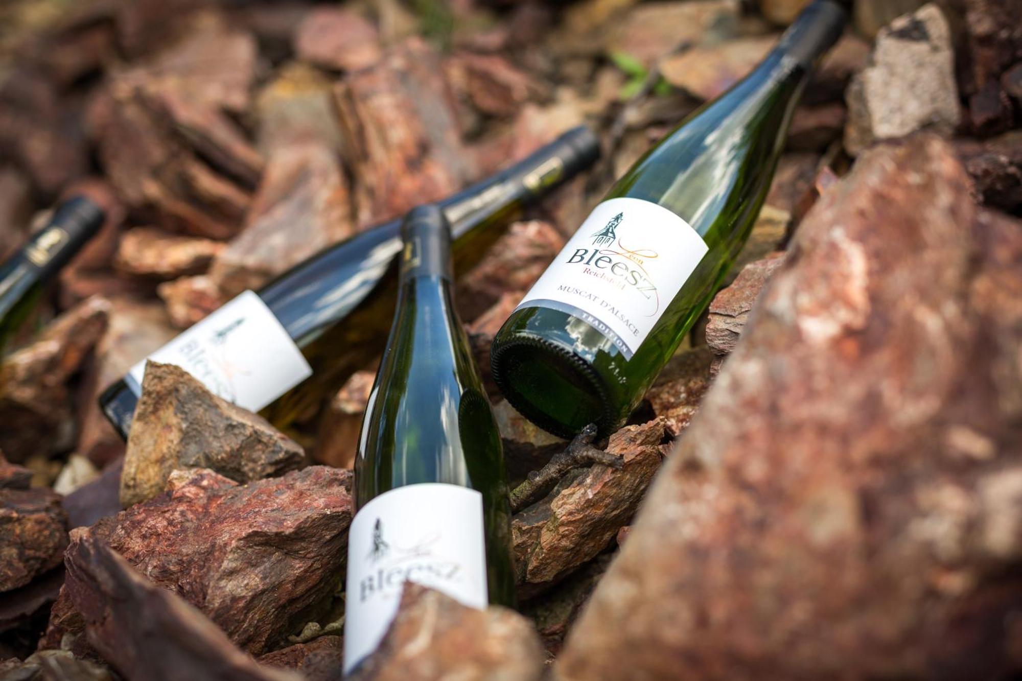 Chambre Du Vigneron - Domaine Leon Bleesz Reichsfeld 외부 사진