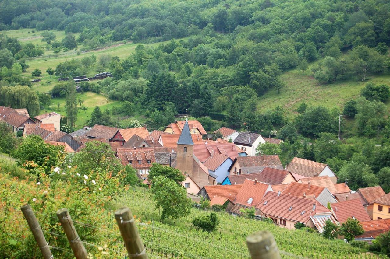 Reichsfeld Domaine Bleesz B&B 외부 사진